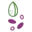 Семена